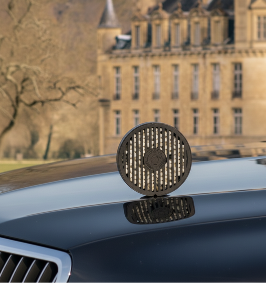 Fleurs d'Oranger - Car diffuser