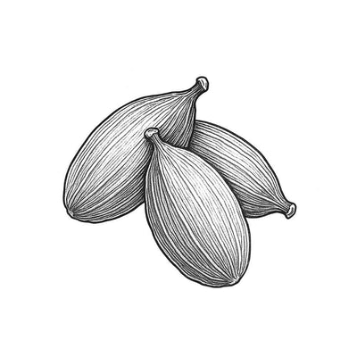 Essence de Cardamome