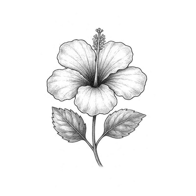 Labdanum
