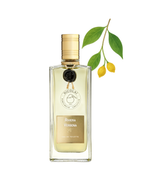 100 ml